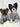 Poldo Dog Couture Baseball Bomber Jacket Grey | B