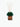 Ricciocaprese Riccio Dark Rummy Green Fico Di Capri Diffuser