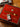 Elie Bleu Cigar Humidor Medal Red
